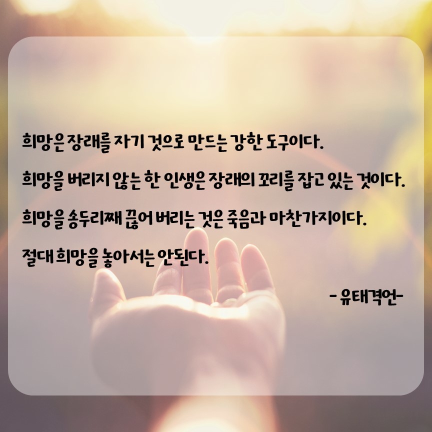 '247번째' 희망메세지 유태격언