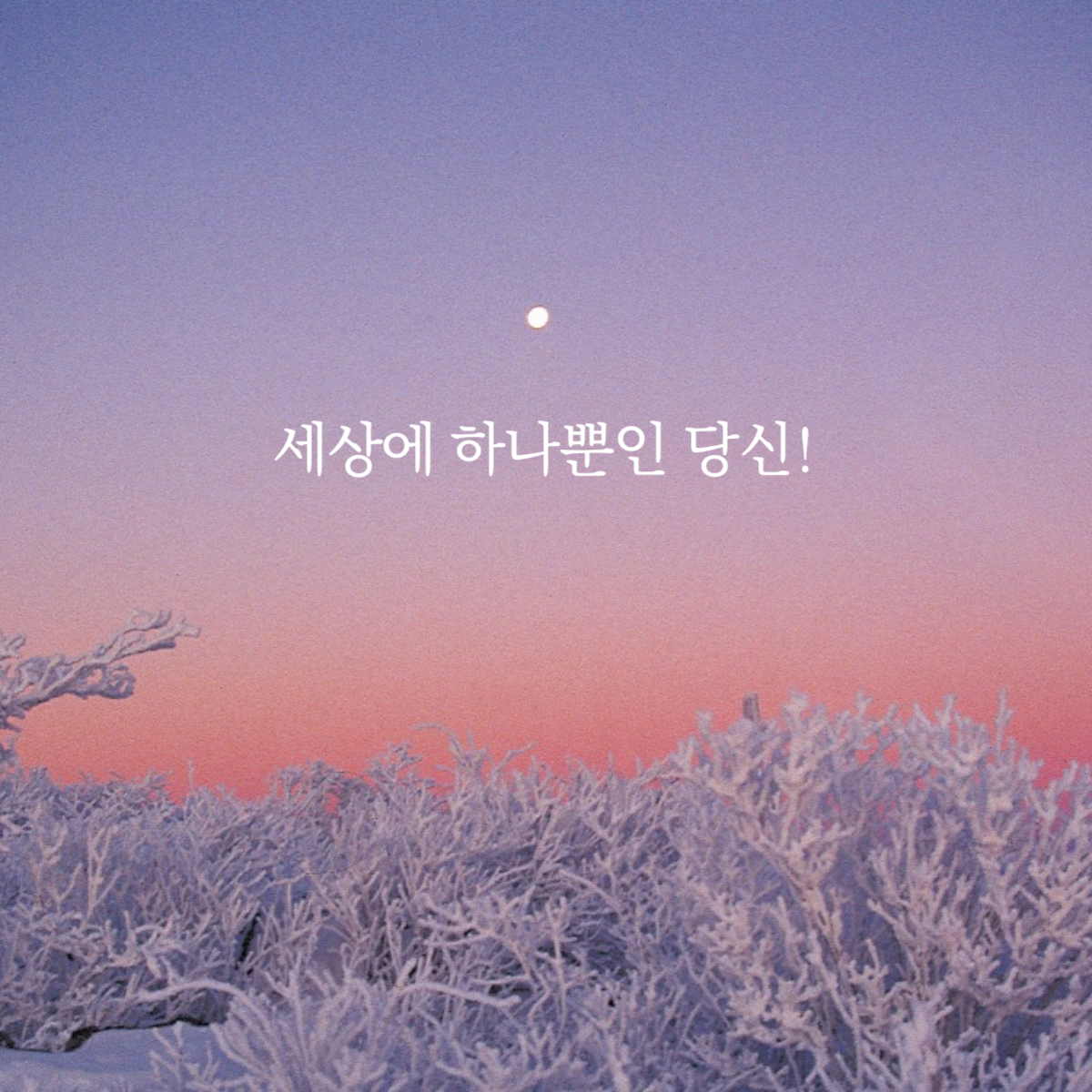 희망메세지 (16).png